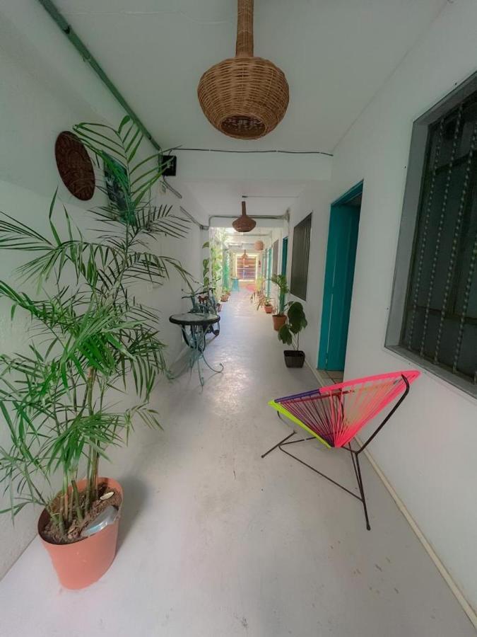 Casa Calido Hotel Κοζουμέλ Εξωτερικό φωτογραφία